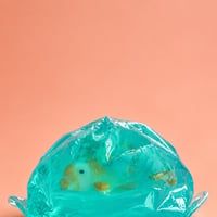 SHOP-MX-034-2.jpg