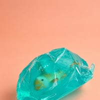SHOP-MX-034-1.jpg