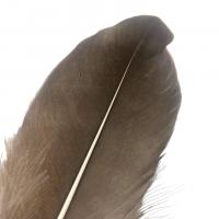 Img 6208 668675898eb4e