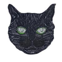 Photo 09 06 2023 18 21 21