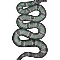 Photo 30 03 2023 15 54 54