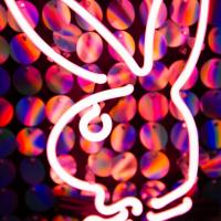 Z4a0398 668fb16929de8