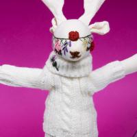 Z4a0529 copy 66a208bde9231