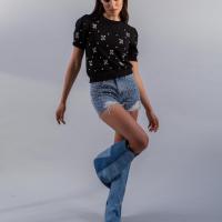 Z4a2215 66a2573952341