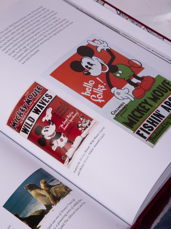 Z4a8030 66729918f0da0