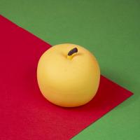 Z4a8454 669005d1ef0e7