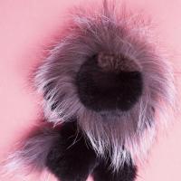 Z4a8789 6691307f8d35d