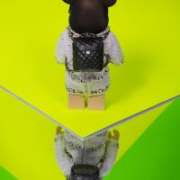 Z4a8847 66911dd951dce